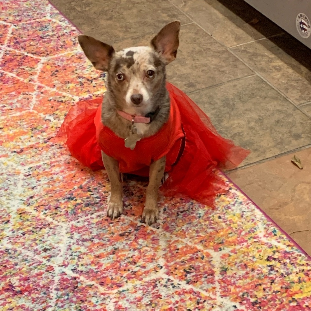 Meet your Posher, Catherine